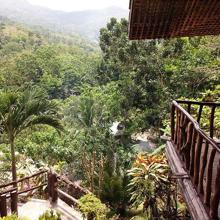 Hilltop Cottages Loboc Εξωτερικό φωτογραφία