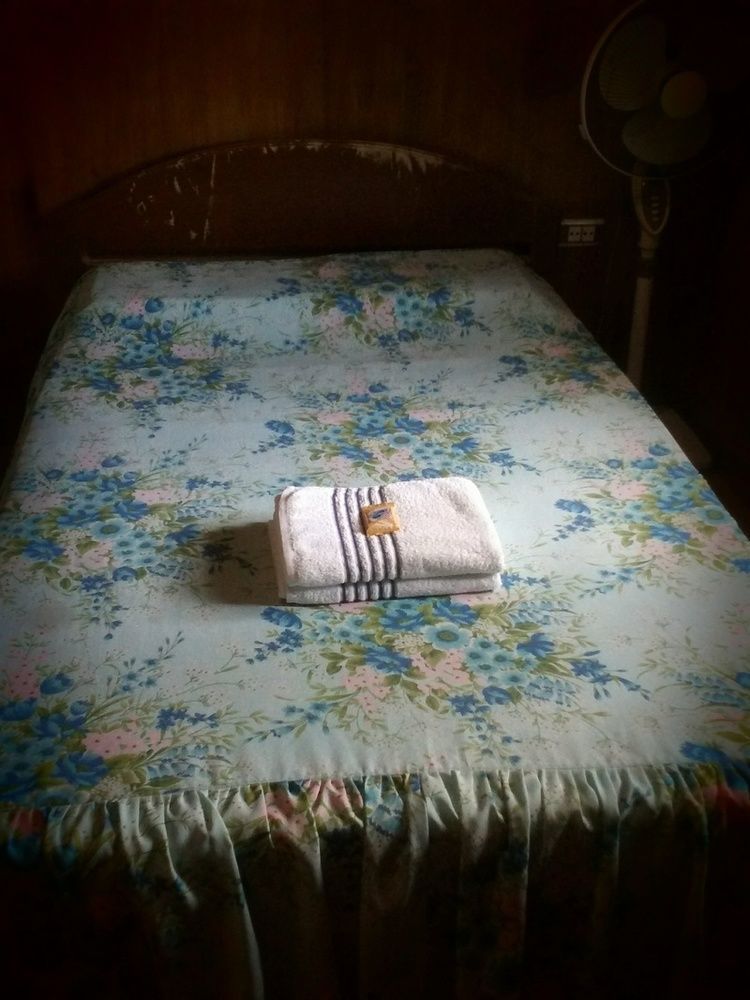 Hilltop Cottages Loboc Εξωτερικό φωτογραφία